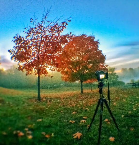 How Photographers Can Grow Their Reach Without Losing Their Voice